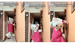 Hombre quería ver a su pareja como gatita y ella se disfraza de Hello Kitty para cumplir su deseo