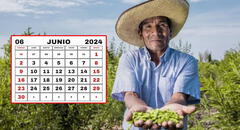 ¿Es feriado el 24 de junio por el Día del Campesino? Gobierno aclara si los peruanos descansarán