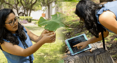 Científica de México crea música con sonidos de plantas y ofrece conciertos: empezó a trabajar con lechugas