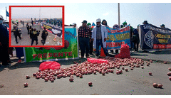 Bloquean con cebollas frontera Perú-Chile: trabajadores de Senasa exigen mejora en sueldos