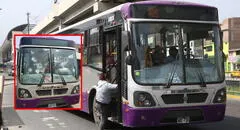 ATU reporta 27 ataques al Corredor Morado solo en San Juan de Lurigancho durante lo que va del año