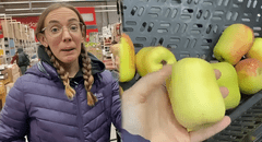 Ciudadana argentina quedó en shock al ver por primera vez la variedad de manzanas que hay en Perú: “Son cuadradas, rectangulares”