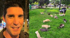 Uruguayo visita Perú y queda impactado al conocer el “parque de los gatos” en Miraflores: “Digno de destacar”