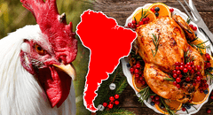 El país de Sudamérica con el mayor consumo de pollo en toda la región: supera a Perú y Brasil con 48 kg por persona