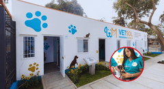 La veterinaria solidaria de la Municipalidad de Lima que brinda atención a costo social: conoce aquí sus sedes y precios