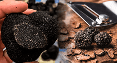 El 'diamante de la cocina' que crece en Sudamérica y es el cultivo más rentable del mundo: se vende en US$4.000 el kilo