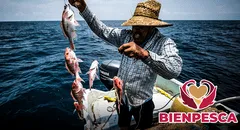 Bienestar 2024: conoce los importantes REQUISITOS para recibir los $7.500 pesos de Bienpesca