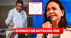 ¿Cómo consultar las actas del CNE? LINK para verificar los votos con número de cédula, según María Corina Machado
