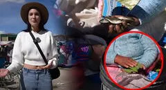 Turista visita MERCADO DE TRUEQUES en Puno y queda impresionada con todo lo que encontró: "Está bastante curioso, me encantó"