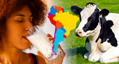Descubre el país de América Latina que consume más leche de vaca en la región y se ubica en el top 5 del mundo