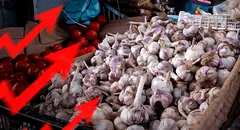 Sube precio del ajo en el Perú: ¿cuánto cuesta el kilo en Lima y regiones?