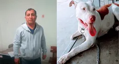 Policía asesina a balazos a perrita delante de su dueña adolescente en Lambayeque