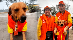 ¡Un héroe! Perrito que frustró robo en grifo en Comas fue ‘contratado’ por Primax: antes era callejerito