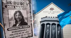 Colegio de Abogados de Lima se pronuncia sobre denuncia contra Dina Boluarte: "Justicia para las víctimas y familiares"