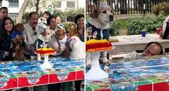 Peruano celebra a lo grande el cumpleaños de su perro con amigos del parque en Lima