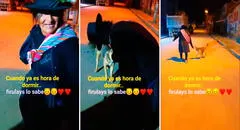 Perrito conmueve al llevar a su dueña en estado de ebriedad a su casa: “Firulais quiere dormir”