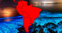 El único país de SUDAMÉRICA donde el MAR BRILLA y alberga una especie en peligro de extinción