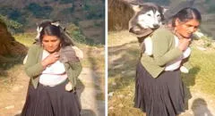 Adulta mayor lleva cargado en su espalda a su perro enfermo hasta la ciudad en busca de veterinario