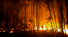 Se reportan en Ecuador al menos 12 incendios forestales en 7 provincias: “Concentraciones de partículas dañinas”