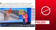 Presentadora de Orient no llora ante foto de perro con niño palestino: es un montaje