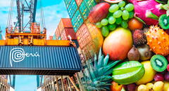 Estas son las 3 frutas ricas en vitaminas que lideran la agroexportación del Perú al mundo: superan las 100 mil toneladas