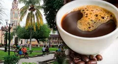 Reconocida cafetería abrió su primera tienda en la selva peruana: ¿en qué lugar se ubica?