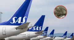 Vuelo a Málaga aterriza de emergencia por presencia de un ratón en la comida de una pasajera