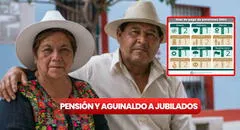 Aumento pensión IMSS 2024 por viudez y jubilados: qué pagos recibiré en ISSSTE y conoce si te toca aguinaldo