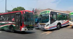 Paro de transportistas en SJL: conoce las 6 empresas que dejarán de operar por marcha este 26 de septiembre