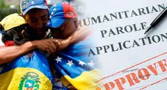 Parole humanitario para venezolanos 2024: cómo solicitar asilo y evitar ser deportado de Estados Unidos
