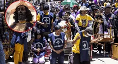 ¿Este 13 de octubre es feriado o día no laborable en el Perú? Revisa qué se celebra y lo que señala El Peruano