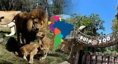El megaproyecto del país de Latinoamérica para crear su primer bioparque en el 2035: será una nueva innovación similar a México y Colombia