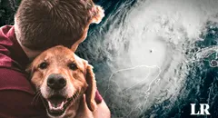 Lista de refugios que aceptan mascotas en Florida ante llegada del huracán Milton: zonas de evacuación AQUÍ