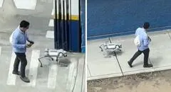 Peruano pasea con perro robot en Comas y usuarios quedan intrigados: “¿Muerde?”