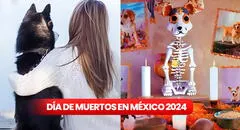 Ofrendas para mascotas en el Día de Muertos 2024: ¿cuándo y cómo poner un altar a los animales fallecidos?