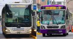 Feriado 1 de noviembre: conoce los horarios del Metropolitano, corredores y transporte público por Día de Todos los Santos