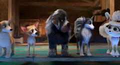 Ya está en los cines 'Aventuras Caninas: El Misterio de la Corona'