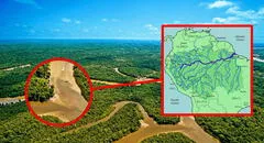 Este río de Sudamérica es el más largo del mundo: descubre por qué este colosal curso de agua es fundamental para la vida en el continente