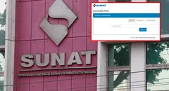 Sunat: ¿cómo saber el número de mi RUC solo con DNI o nombre?