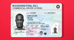 Licencia de conducir en Estados Unidos: los 3 pasos para evitar información falsa sobre Real ID en 2025