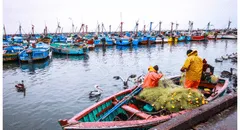 Tardanza de PRODUCE en reglamentar la ley  de pesca artesanal favorece a la pesca ilegal