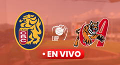 Ver juego de Leones del Caracas vs Tigres de Aragua EN VIVO por la LVBP: horario y canal de HOY, 16 de noviembre