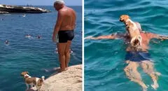 Adulto mayor y su perrito enternecen en redes al realizar clavados en el mar: “Una conexión especial”