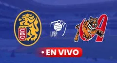 ¡Dulce venganza! Leones del Caracas vencieron 8-2 a Tigres e igualaron serie particular por la LVBP 2024-25
