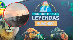 Incendio forestal en el Parque de las Leyendas puso en peligro animales y trabajadores de la sede Huachipa
