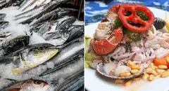 ¿Qué pescado es ideal para ceviche? Descubre las mejores especies para este plato peruano