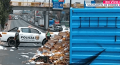 Caos vehicular en SMP: volcadura de camión con mangos bloquea un carril en la Panamericana
