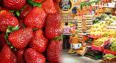 Alertan que fresas de Lima y Callao tienen pesticidas fuera de límites permitidos en Perú