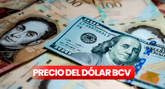 Precio del Dólar BCV HOY, 25 de noviembre en Venezuela, vía Banco Central