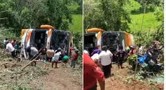 Bus de MovilBus que transportaba una promoción escolar se despista en Moyobamba: accidente deja 7 fallecidos y varios heridos